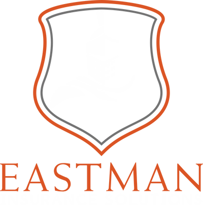eis logo